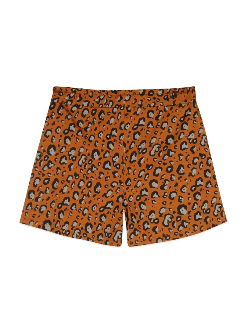 Ammehoela Rok Bella - Leopard